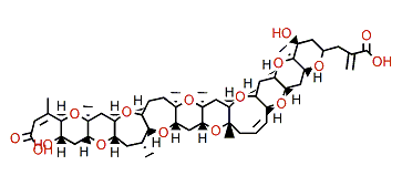 open A-ring oxidized Brevetoxin 2